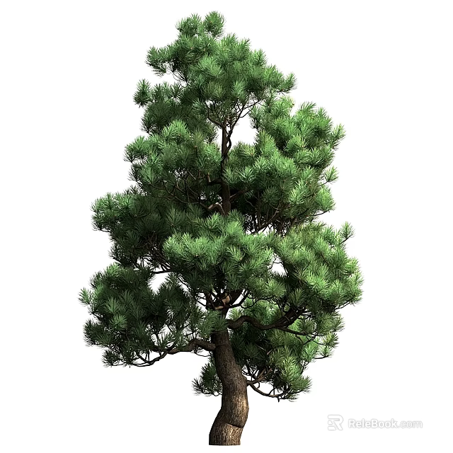 Stylish Modern Decorative Ornament Combination For Home Decor With Creative Design And Natural Elements 3d model 