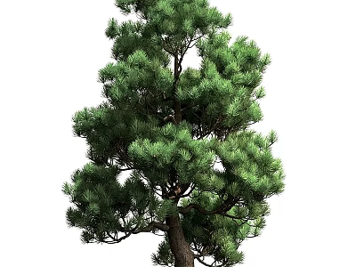 Stylish Modern Decorative Ornament Combination For Home Decor With Creative Design And Natural Elements 3d model