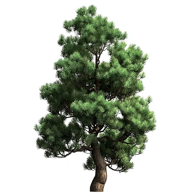 Stylish Modern Decorative Ornament Combination For Home Decor With Creative Design And Natural Elements 3d model