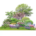 Vibrant Flowering Shrubs With Mixed Trees And Colorful Flowers In Green Lawn