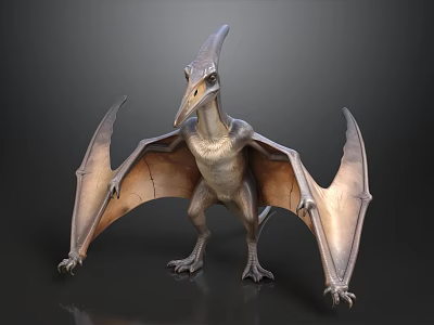 Realistic Pterosaur 3D Model With Spread Wings Crest And Detailed Texture 3d model