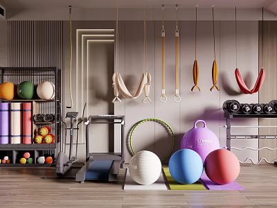 Home Gym Sports Equipment With Hanging Rings Resistance Bands Exercise Balls And Dumbbells 3d model