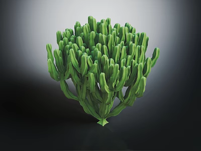 Lush Green Cactus Plant With Dense Stems And Three Dimensional Look On Dark Background 3d model