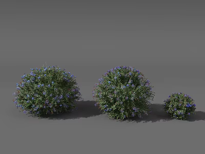 Three Different Sizes of Shrubs Featuring Green Foliage And Blue Blooms 3d model
