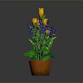 Two Potted Plants With Yellow Tulips And Purple Flowers In Orange Pots