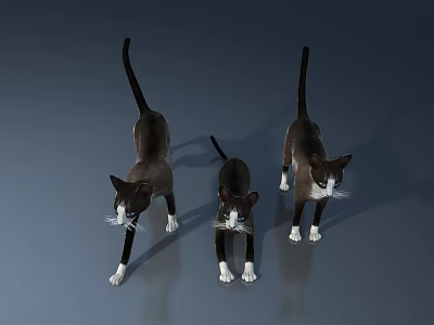 Modern Pet Cabinet Design With Three Cats Resting On Comfortable Surface 3d model