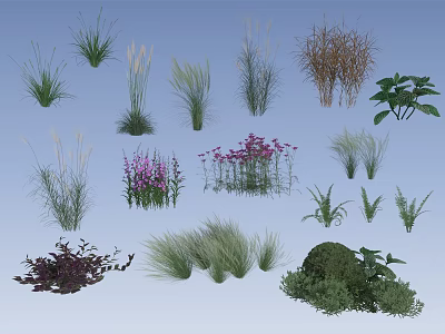 Various Types Of Ornamental Shrubs With Colorful Flowers And Lush Foliage For Garden Landscaping 3d model
