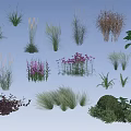 Various Types Of Ornamental Shrubs With Colorful Flowers And Lush Foliage For Garden Landscaping