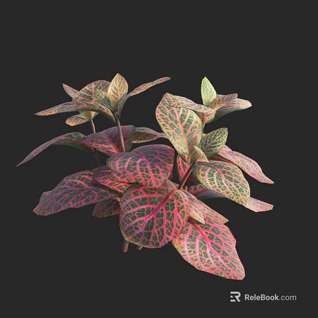 Vibrant Variegated Plant With Red And Green Veined Leaves For Decoration 3d model 