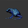 Vibrant Blue Frog With Black Spots On Gray Background With Reflection 3d model