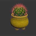 Green Spiny Cactus in Yellow Speckled Footed Pot against Dark Background