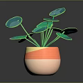 3D Rendered Green Leafy Plant With Glossy Foliage In Orange Beige Layered Pot