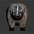 Badger with distinctive brown white striped fur and plump body appearance