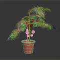 Healthy Potted Tomato Plant with Green Leaves and Red Fruits in Clay Pot