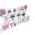 Diverse Arbor Trees With Colorful Blossoms And Various Species For Landscaping