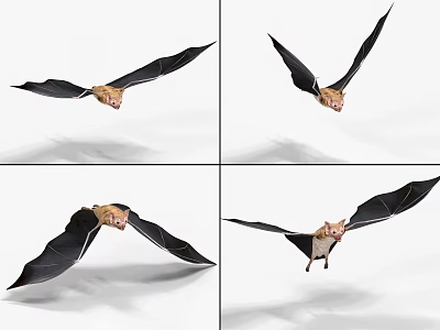 Bat with Bound and Flying Animated Vampire Bat 3d model