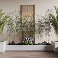 Bamboo Plants In Indoor Garden With White Planters