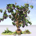 Grape Bush with Purple Grapes Green Vines Leaves Basket Underneath Stones and Grass