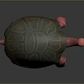Turtle Character 3D Model with Pink Body and Green Brown Shell