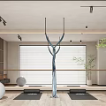 Modern Yoga Studio Interior With Aerial Hammock Yoga Ball Mats Mirrors and Plants