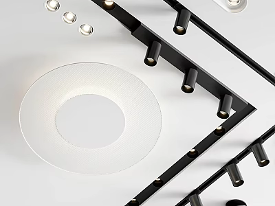 Modern Ceiling Downlights And Spotlights With Sleek Black Frame And White Shade 3d model