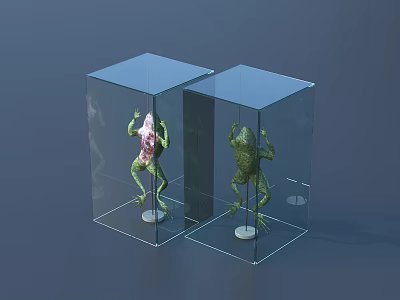 Two Glass Display Cases With Green And Pink Internal Frog Models On Base 3d model