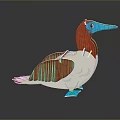 Cartoon Style Bird Figure With Orange White Feathers And Blue Beak And Feet