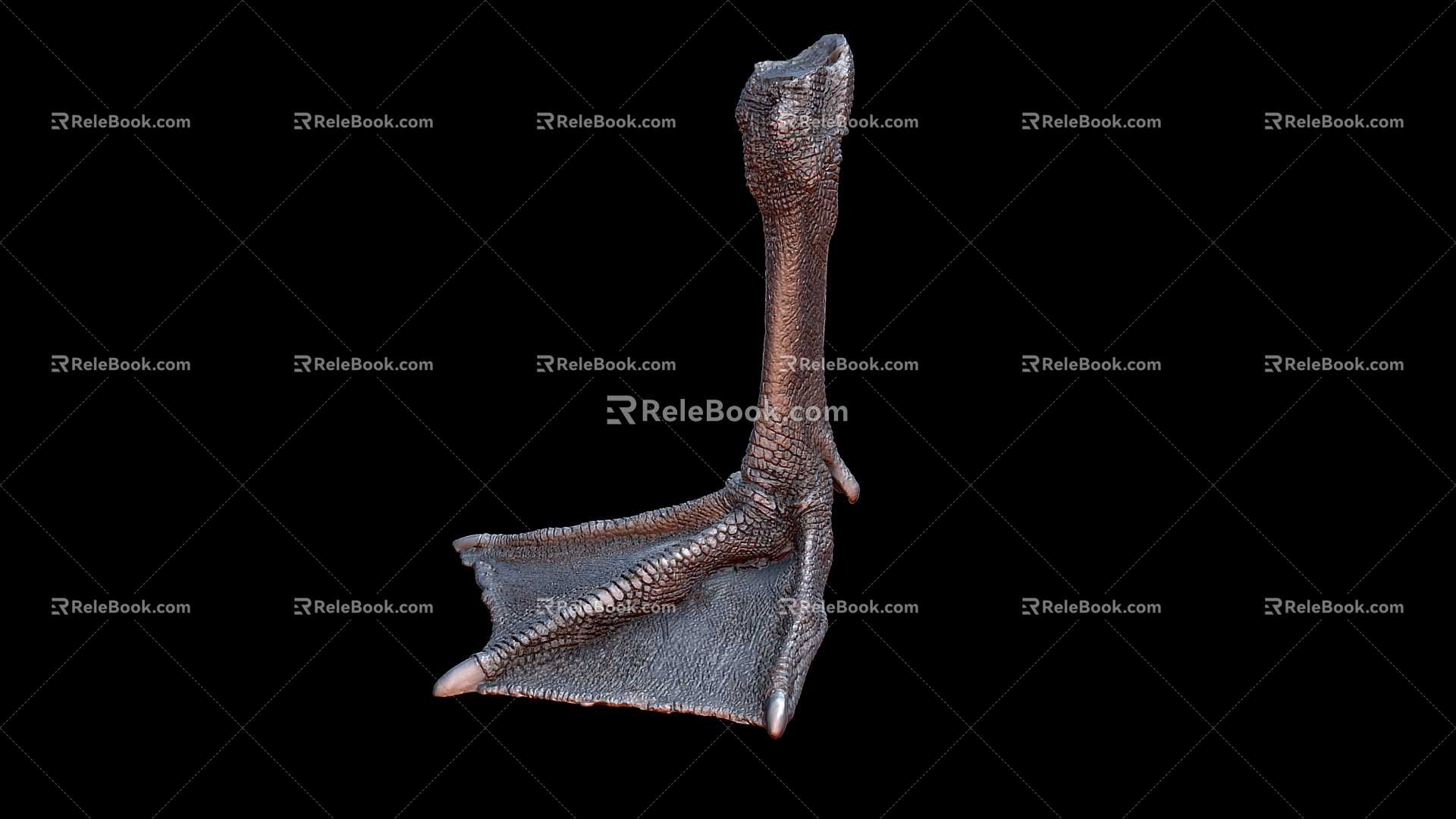 Goose Foot Goose Foot Foot Duck Foot Duck Foot 3d model