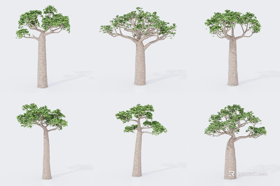 Tall Trees With Thick Trunks And Green Canopy In Various Forms 3d model