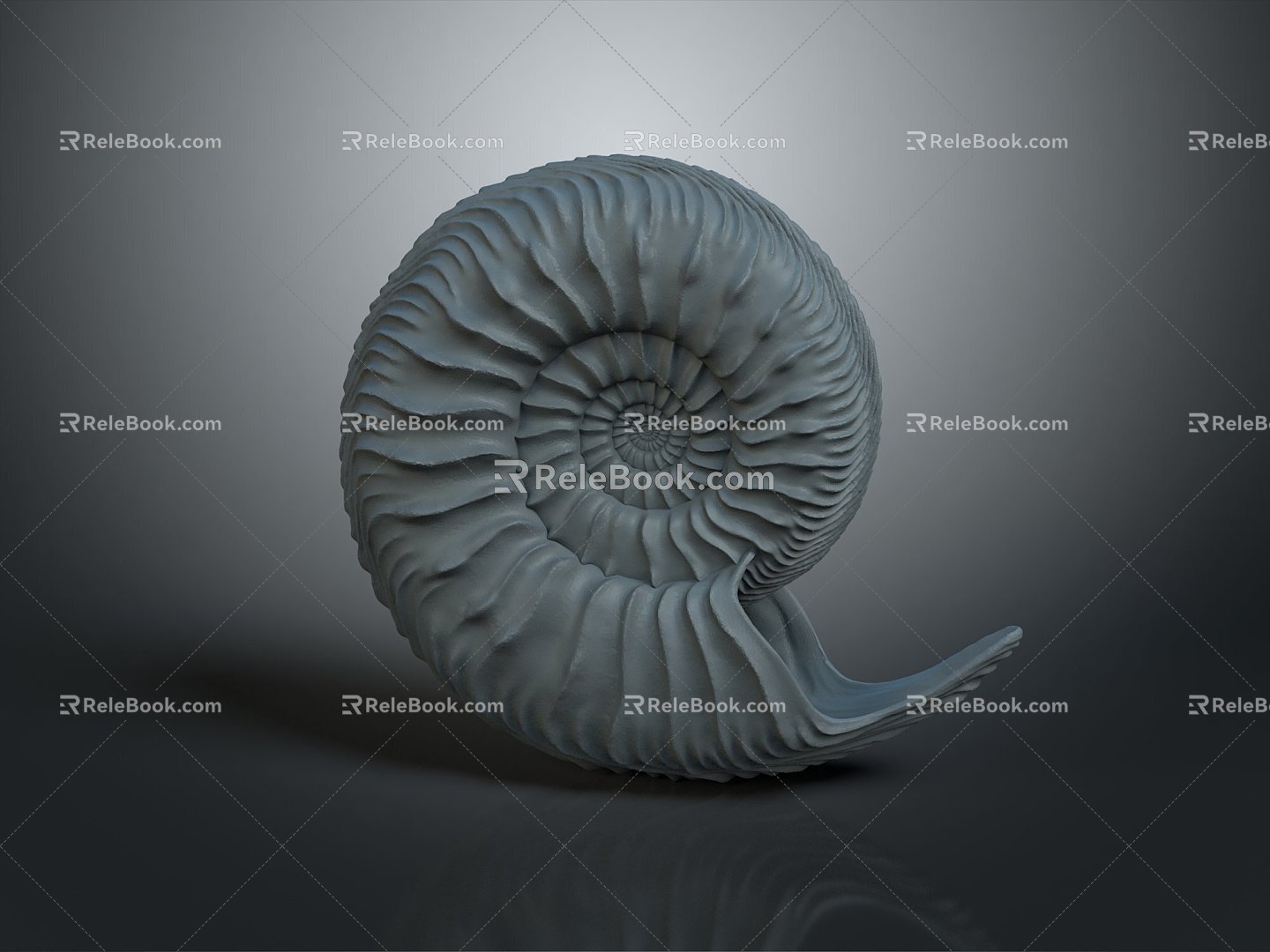 Chi chrysanthemum stone ancient fossil stone chrysanthemum fossil items 3d model