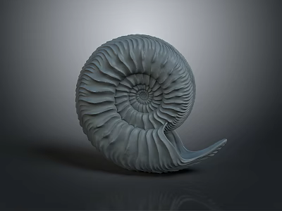 Chi chrysanthemum stone ancient fossil stone chrysanthemum fossil items 3d model