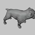 White English Bulldog Standing In Realistic 3D Render With Dark Background