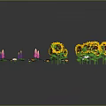 Various Colorful Plants Including Sunflowers Lupines And Daisies With Reflections On Gray Background