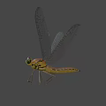 Colorful Dragonfly With Blue Wings And Yellow Brown Body Flying On Dark Background
