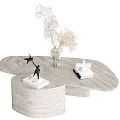 Modern Marble Coffee Table With Irregular Shape Adorned With Dried Flower Vase Sculpture And Books