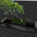 Water Fountain with Curved Tree Green Bushes on Black Platform and Patterned Tiled Floor
