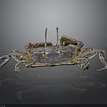 Vibrant Blue Purple Crab With Large Claws And Legs On Dark Background With Reflection
