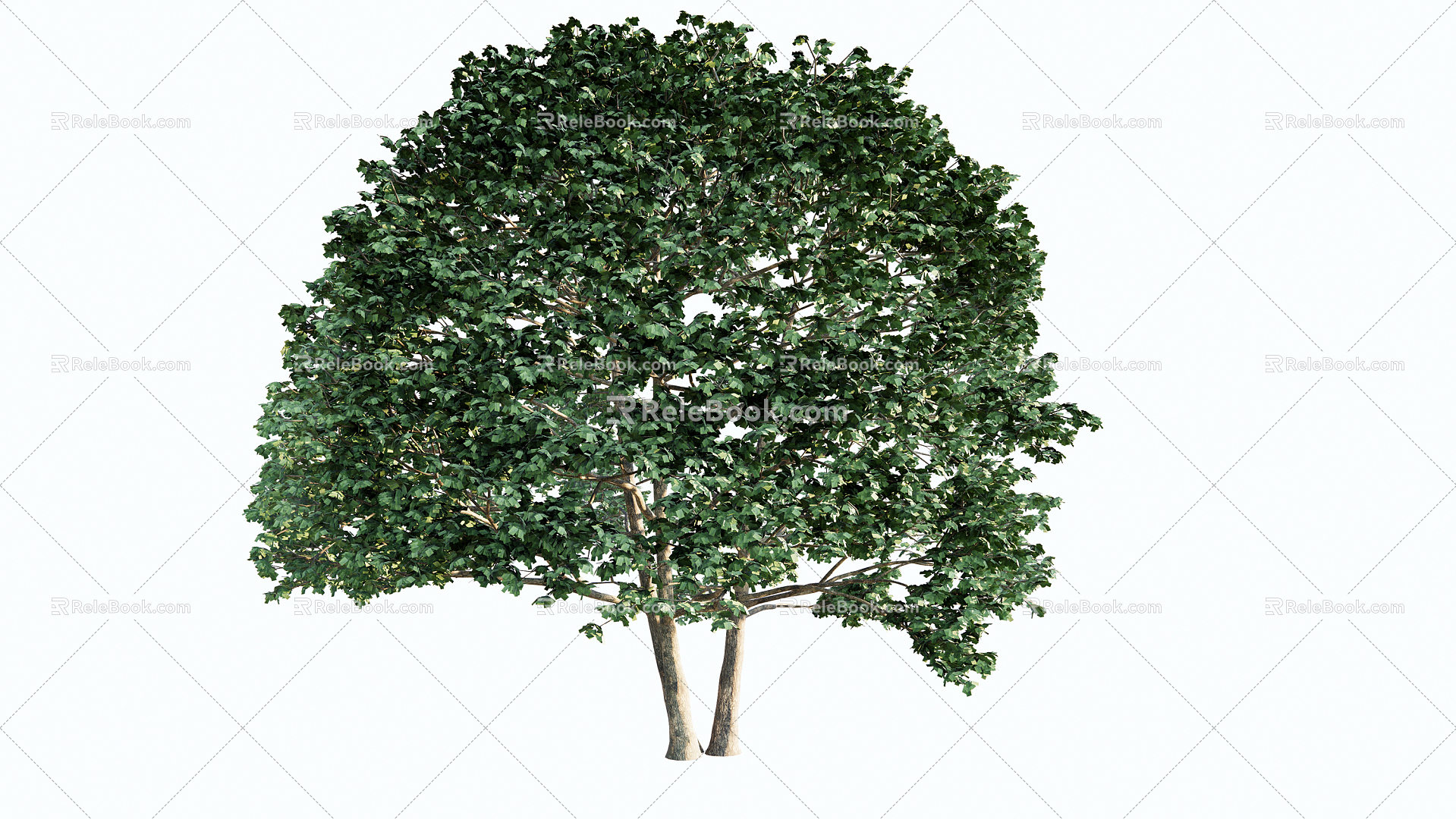 Modern Tree Fruit Tree Plant 3d model