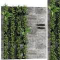Lush Vertical Green Plant Wall with Mixed Foliage Against Concrete Background