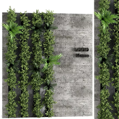 Lush Vertical Green Plant Wall with Mixed Foliage Against Concrete Background 3d model