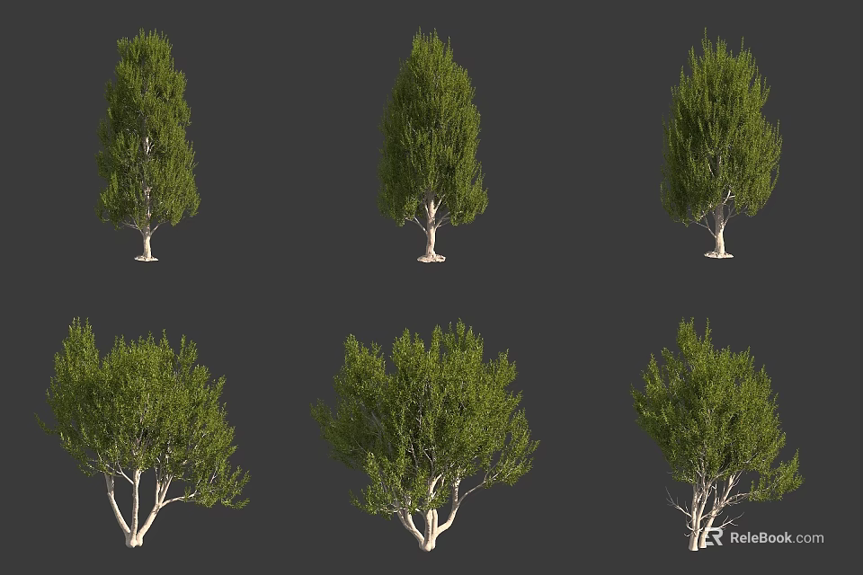 Various Arbor Tree Varieties With Green Foliage And Different Canopy Shapes 3d model 