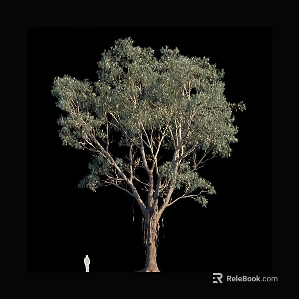 Tall Deciduous Tree With Lush Green Leaves And Branched Trunk Structure 3d model 