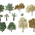 Various Arbor Tree Collection Featuring Green Yellow and Golden Foliage Types