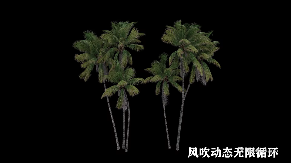Group of Palm Trees Showing Wind Blowing Dynamic Movement and Green Foliage 3d model 