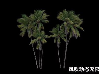 Group of Palm Trees Showing Wind Blowing Dynamic Movement and Green Foliage 3d model