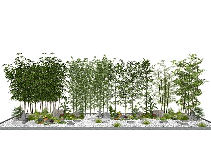 Modern Bamboo Green Bamboo Planting Bamboo Flowers and Shrubs 3d model