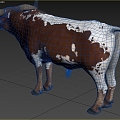 Texas Texas Longhorns Biological Animals 3d model