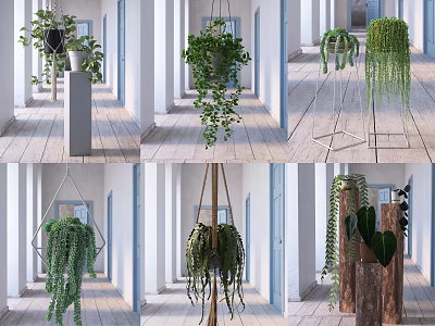 Hanging Green Plants In Decorative Planters With Metal Stands For Indoor Interior Decor 3d model