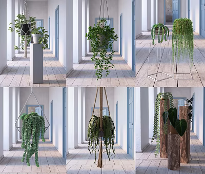Hanging Green Plants In Decorative Planters With Metal Stands For Indoor Interior Decor 3d model