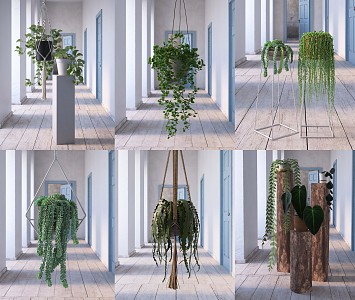 Modern hanging basket plant potted landscape 3d model